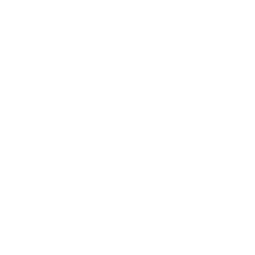 Dell logo