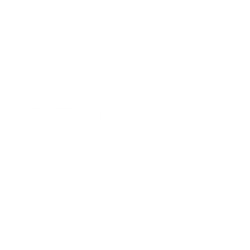 PNY logo
